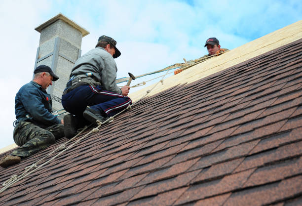Best Roof Inspection Near Me  in Toftrees, PA